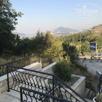 фото из отзыва ID 1712940