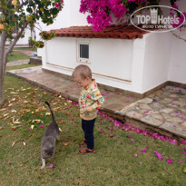 фото из отзыва ID 1712942