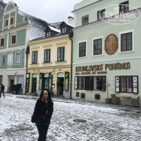 фото из отзыва ID 1713024