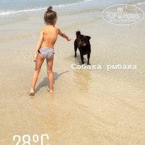 фото из отзыва ID 1713211