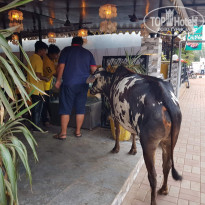 фото из отзыва ID 1712944