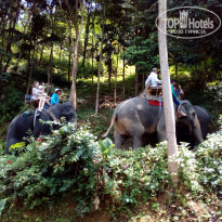 фото из отзыва ID 1712930