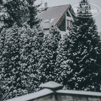 фото из отзыва ID 1713356