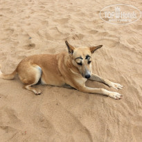 фото из отзыва ID 1713386