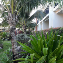 фото из отзыва ID 1712663