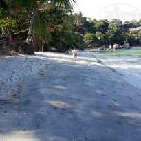 фото из отзыва ID 1712663