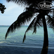 фото из отзыва ID 1712663