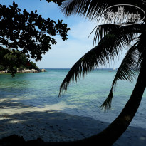 фото из отзыва ID 1712663