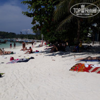 фото из отзыва ID 1712663