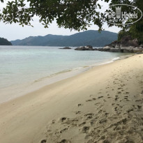 фото из отзыва ID 1712663