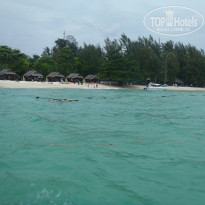 фото из отзыва ID 1712663