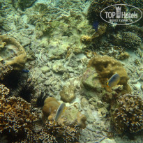 фото из отзыва ID 1712663