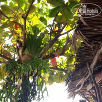 фото из отзыва ID 1712663