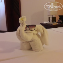 фото из отзыва ID 1713562