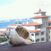 фото из отзыва ID 1713567