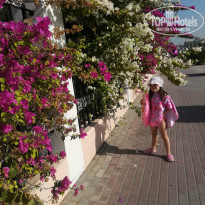 фото из отзыва ID 1713640