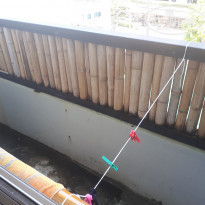 фото из отзыва ID 1713659