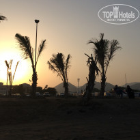 фото из отзыва ID 1713726