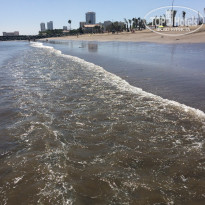 фото из отзыва ID 1713726