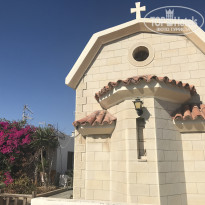 фото из отзыва ID 1713919