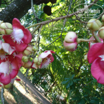фото из отзыва ID 1713923