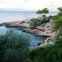 фото из отзыва ID 1713931