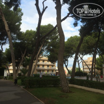 фото из отзыва ID 1713931