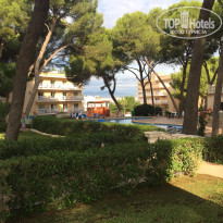 фото из отзыва ID 1713931