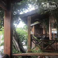 фото из отзыва ID 1713989