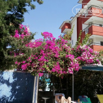 фото из отзыва ID 1713999