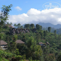 фото из отзыва ID 1714073