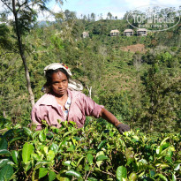 фото из отзыва ID 1714073