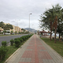 фото из отзыва ID 1714197