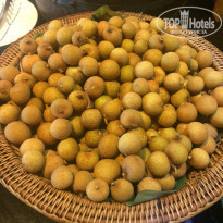 фото из отзыва ID 1714277