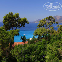 фото из отзыва ID 1714294