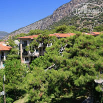 фото из отзыва ID 1714294