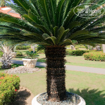 фото из отзыва ID 1714300