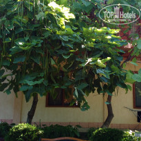 фото из отзыва ID 1714312