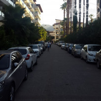 фото из отзыва ID 1714406