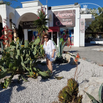 фото из отзыва ID 1714513