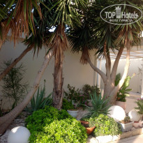 фото из отзыва ID 1714612