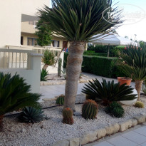 фото из отзыва ID 1714612