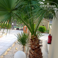 фото из отзыва ID 1714612