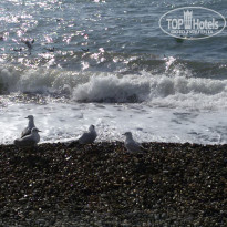 фото из отзыва ID 1714613