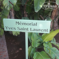 фото из отзыва ID 1714723