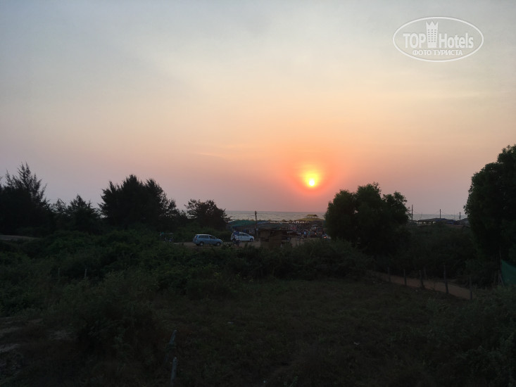 New photos from tourists Ziba Beach 3*