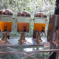 фото из отзыва ID 1714512