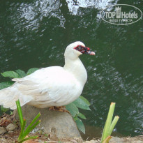 фото из отзыва ID 1714512