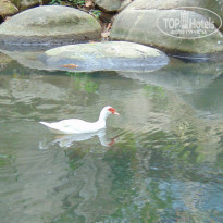 фото из отзыва ID 1714512