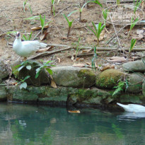 фото из отзыва ID 1714512